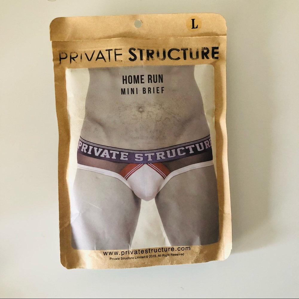 Private Structure low rise fine mesh briefs